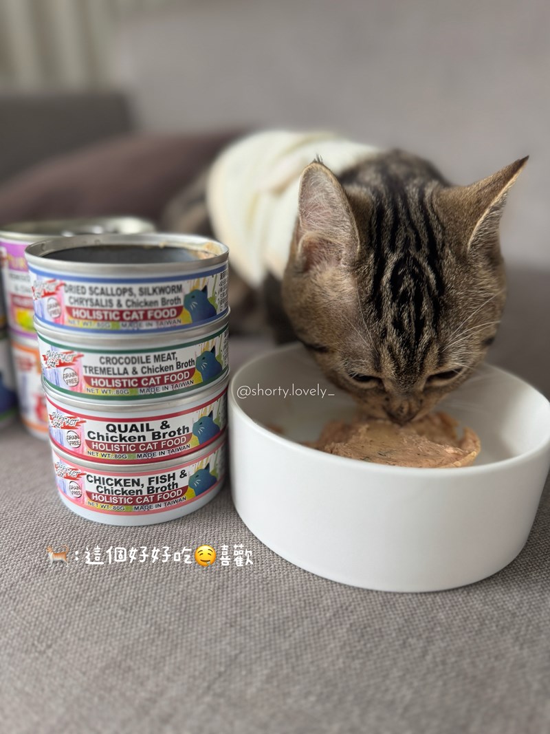 女人知己試用大隊,口碑行銷,部落客行銷,PURRFACT 波菲特貓用主食罐,主食罐,PURRFACT波菲特,貓主食罐,貓罐,PURRFACT波菲特貓用主食罐,魚肉蔓越莓主食罐,鮮嫩雞主食罐,鹿肉雞肉主食罐,牛肉鵪鶉貓主食罐,干貝蠶蛹配方,鱷魚肉白木耳配方,雞肉魚肉配方,安心鶉配方,評價,體驗,適口性佳,心得,成貓適用,高齡貓適用,質地是慕絲狀